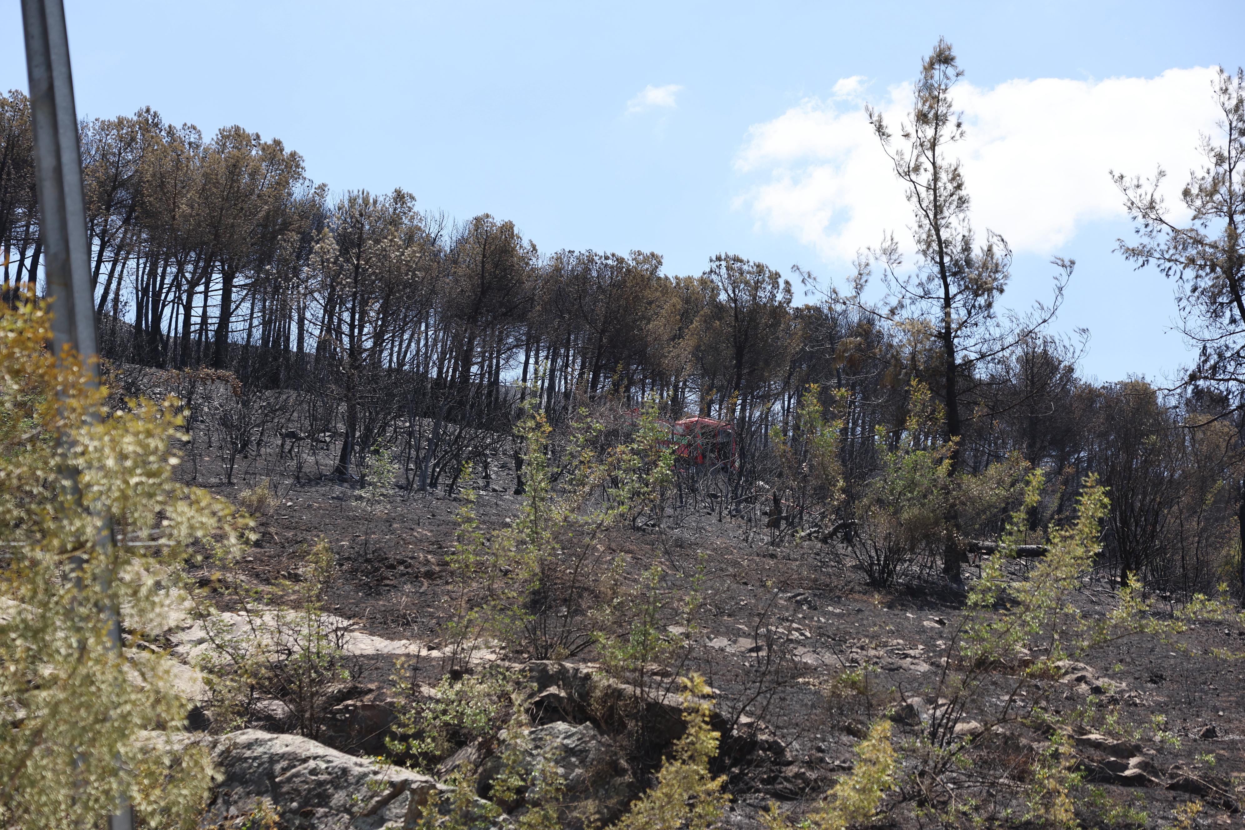 35766 M T Y4 N W Zl O G 3