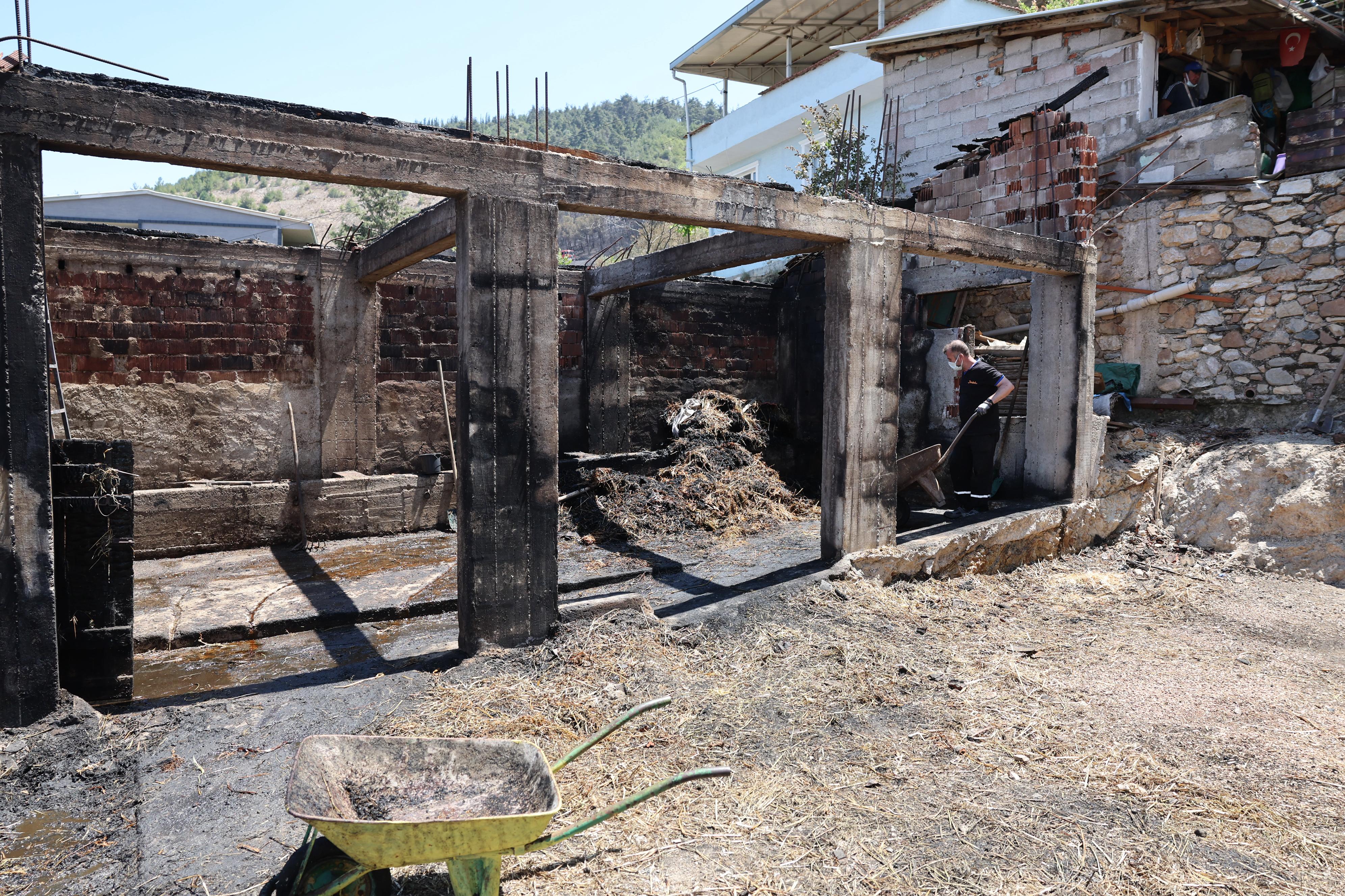 35766 M T Y4 N W Zl O G 4