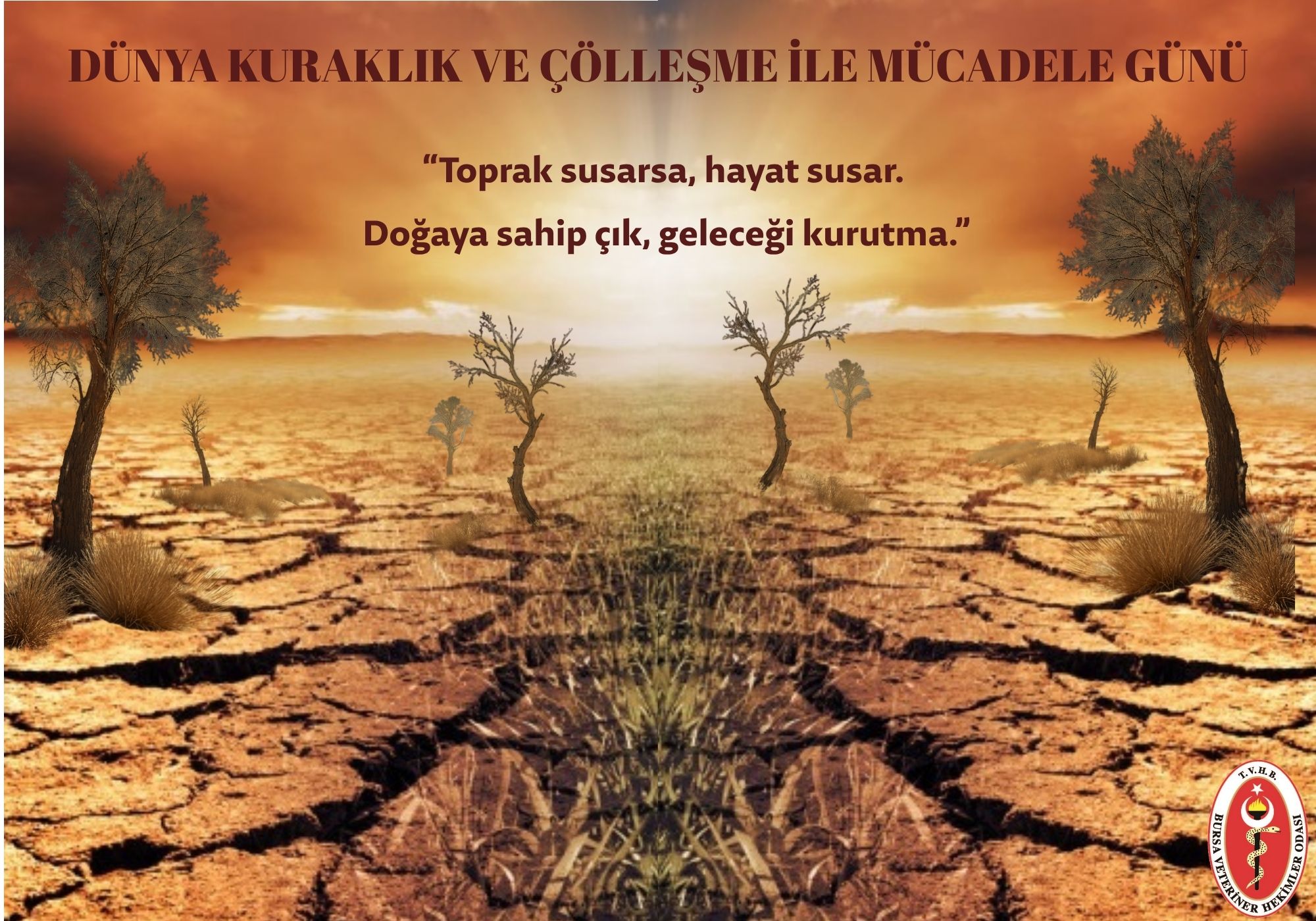 Dunya Kuraklık Ve Collesme Ile Mucadele Gunu (1)