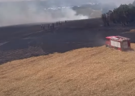 Ekran Görüntüsü 2025 06 28 145849