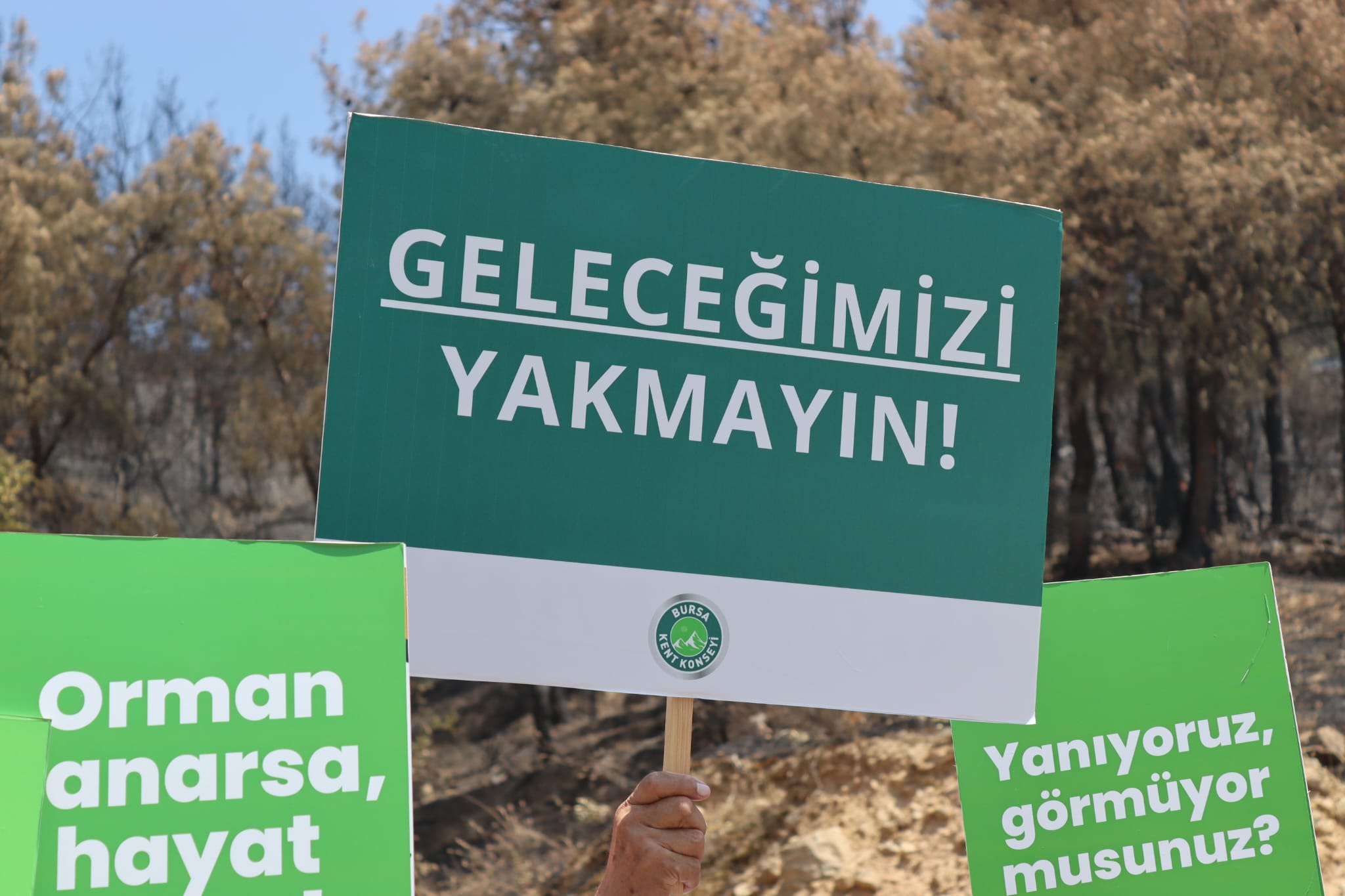 Web.whatsapp 2025 07 10T132151.959