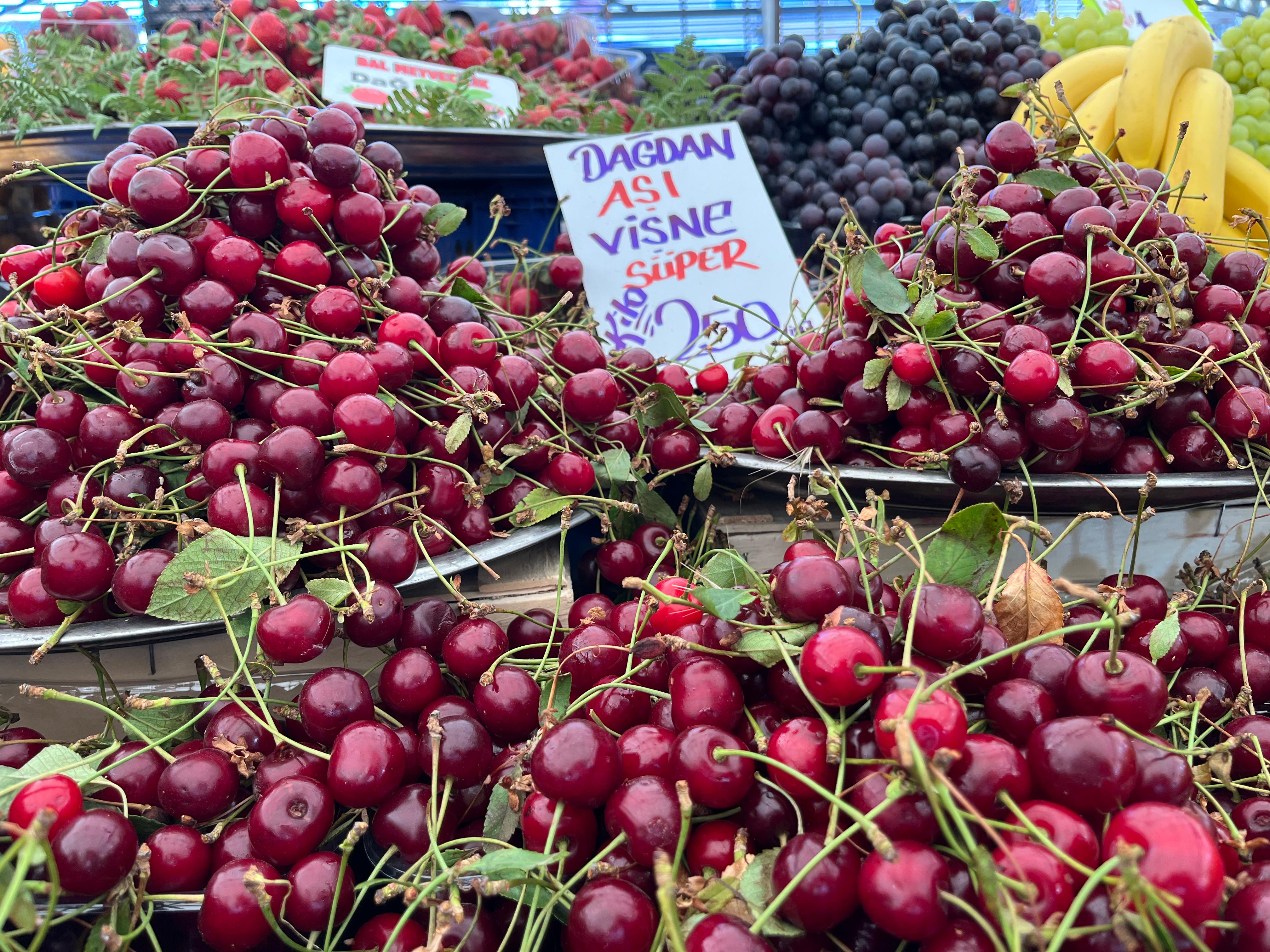 Whatsapp Image 2025 07 04 At 16.10.19 (1)