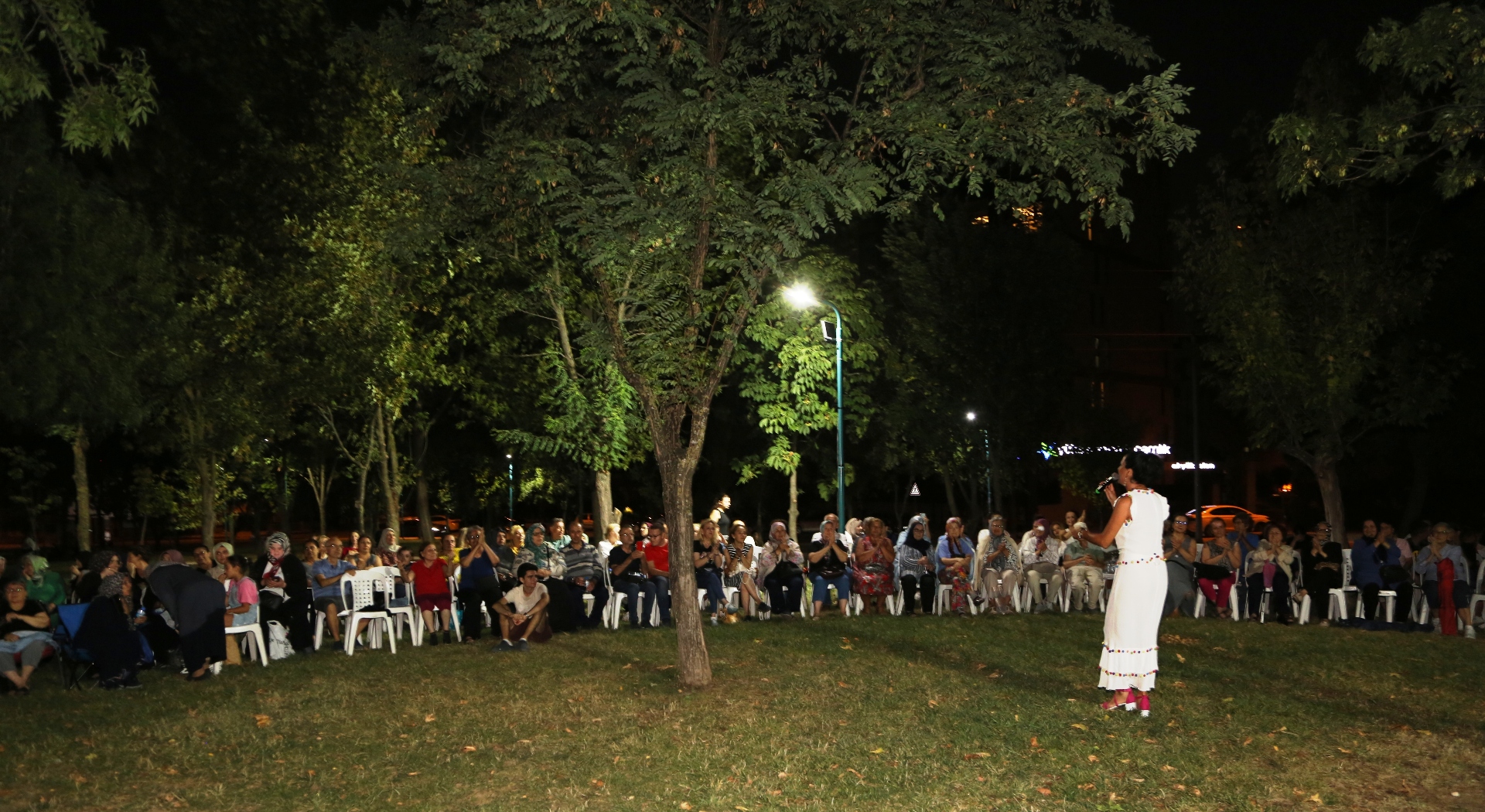Ataevler Senlik (1)