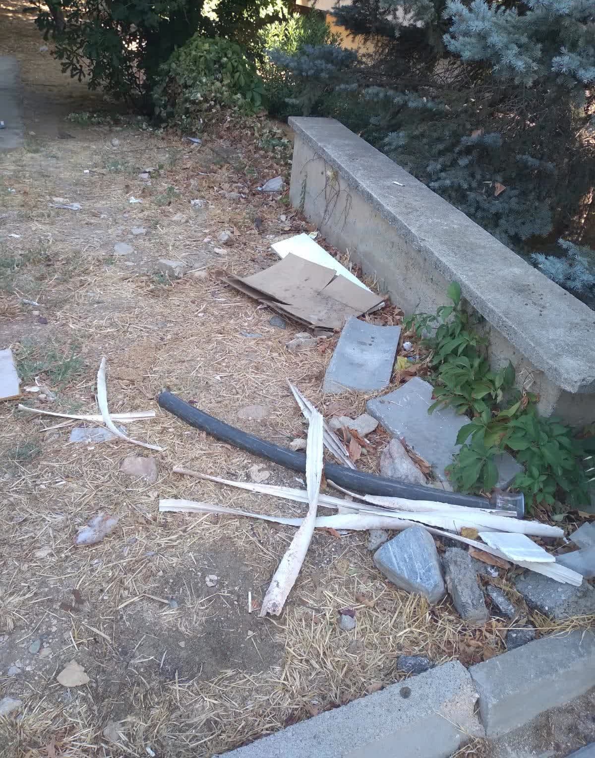 Yesil Alanin Bakimsizligi Ve Belediyenin Yetersiz Temizlik Hizmeti 1