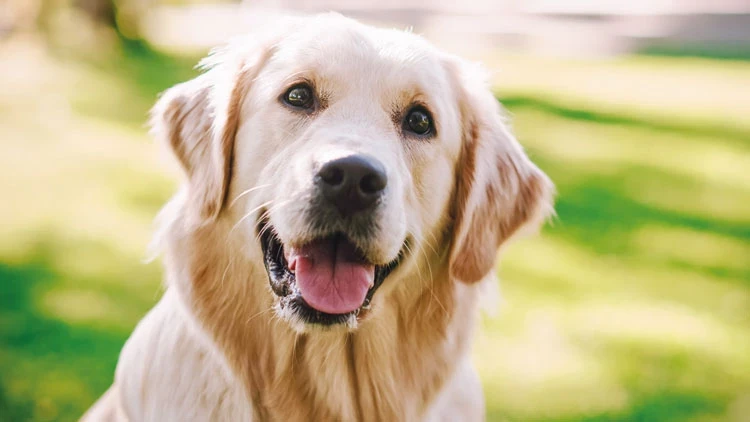 69445F5Bbb0E2C9Fc0Eea6D2