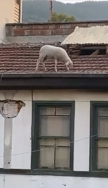 2026 08 03 124410