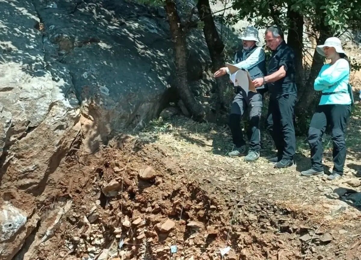 Görüntü 44-15