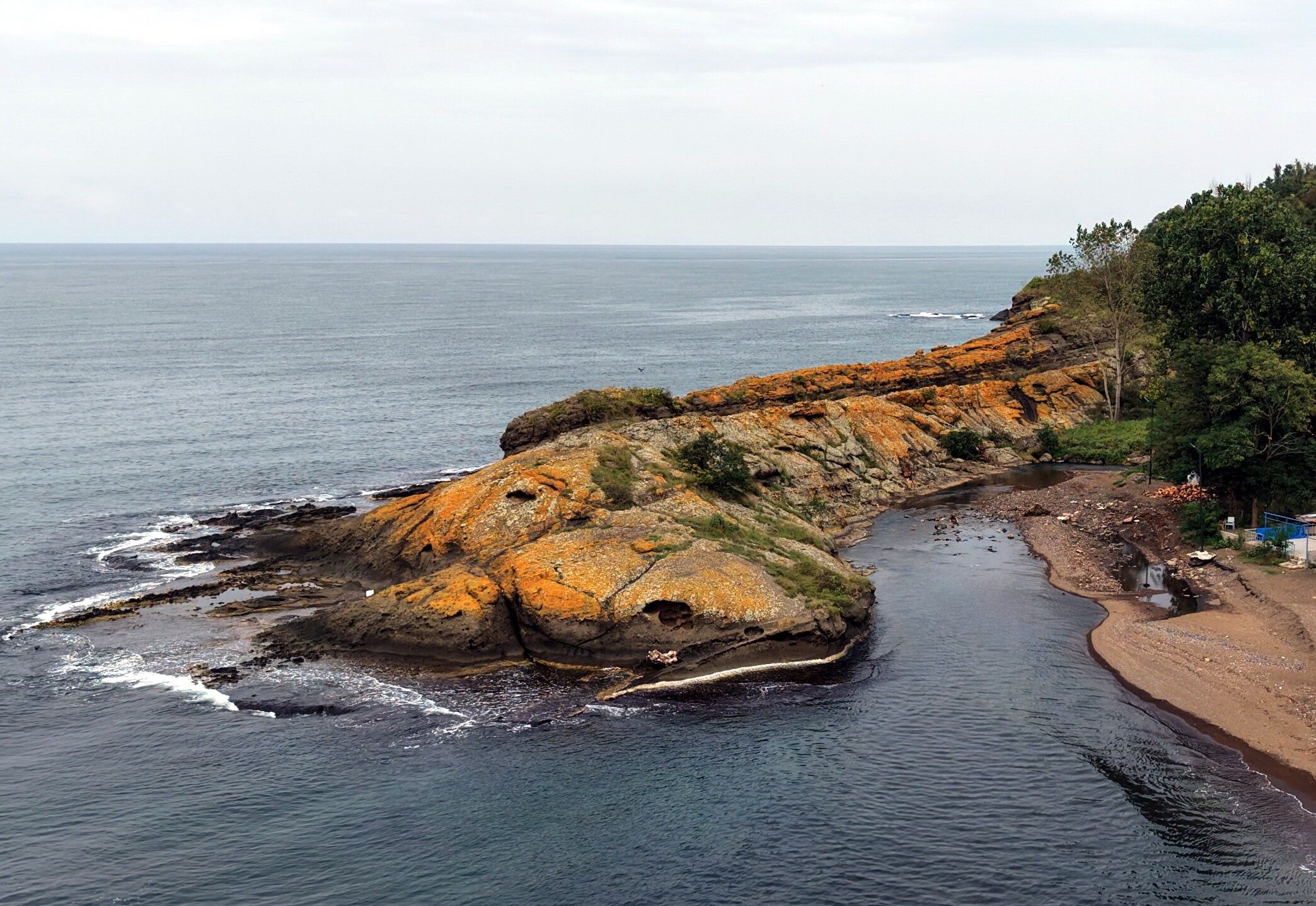 Karadeniz’de gören gözlerine inanamıyor: Dev timsahı andırıyor