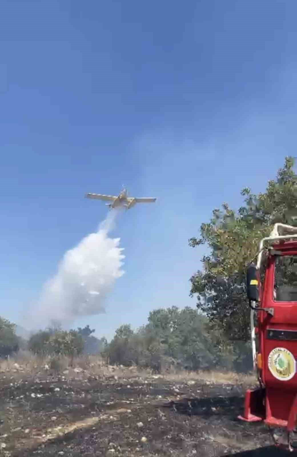 Balıkesir'de orman yangını