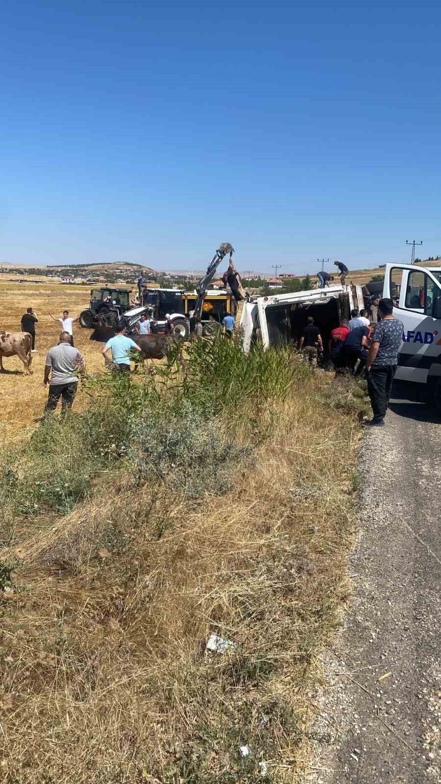 Boztepe'de hayvan yüklü tır yan yattı