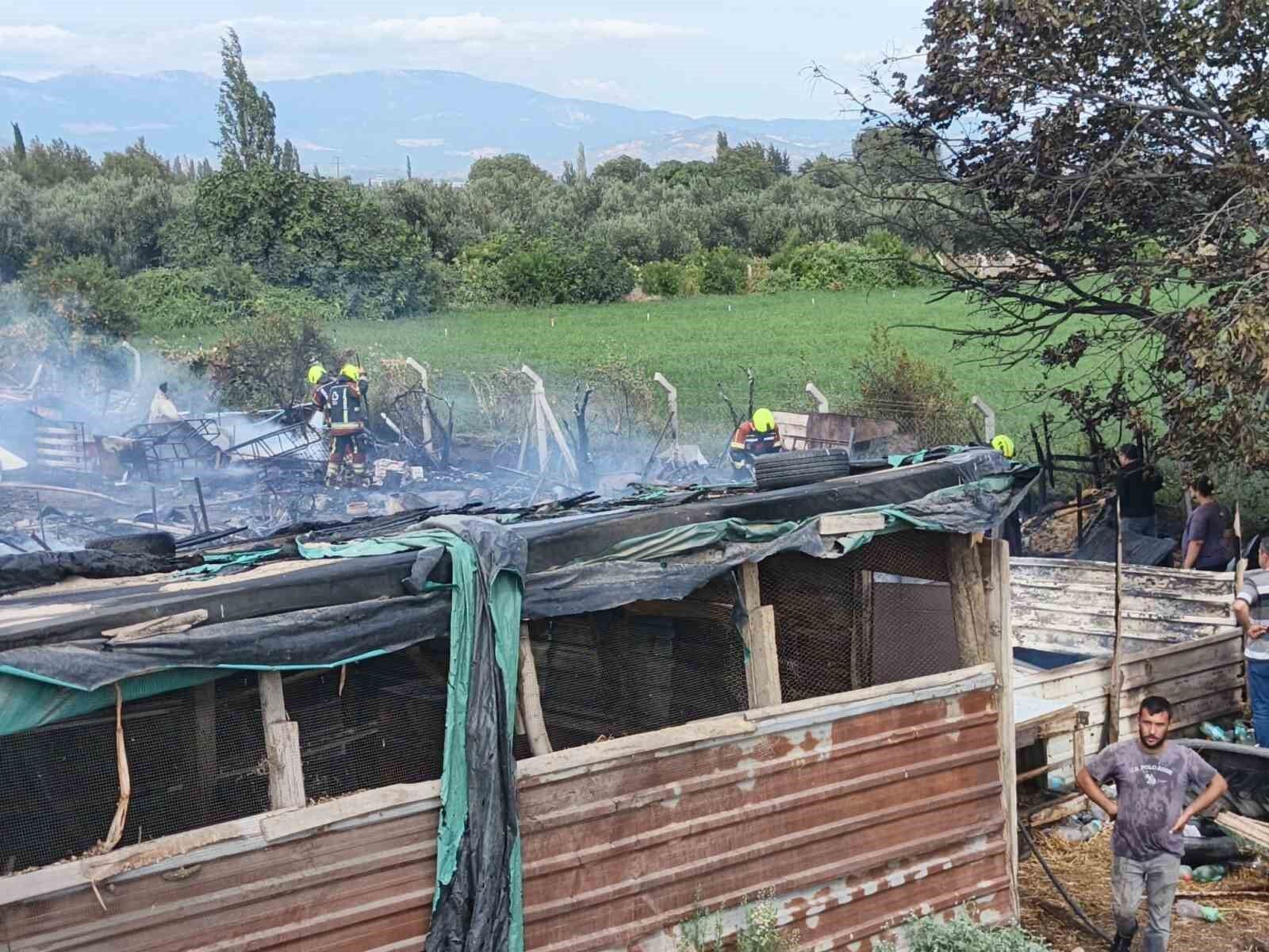 Burhaniye'de ahır yangını paniğe neden oldu
