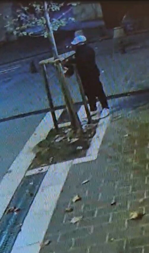 Fatih'te 'dükkanın önünü kapatıyor' diyerek ağacı testereyle kestiler: O anlar kamerada