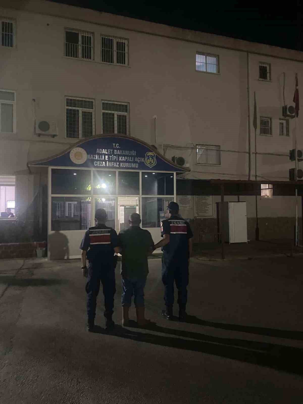 Kuyucak'ta ormanlık alanda kenevir yetiştiren şüpheli suçüstü yakalandı