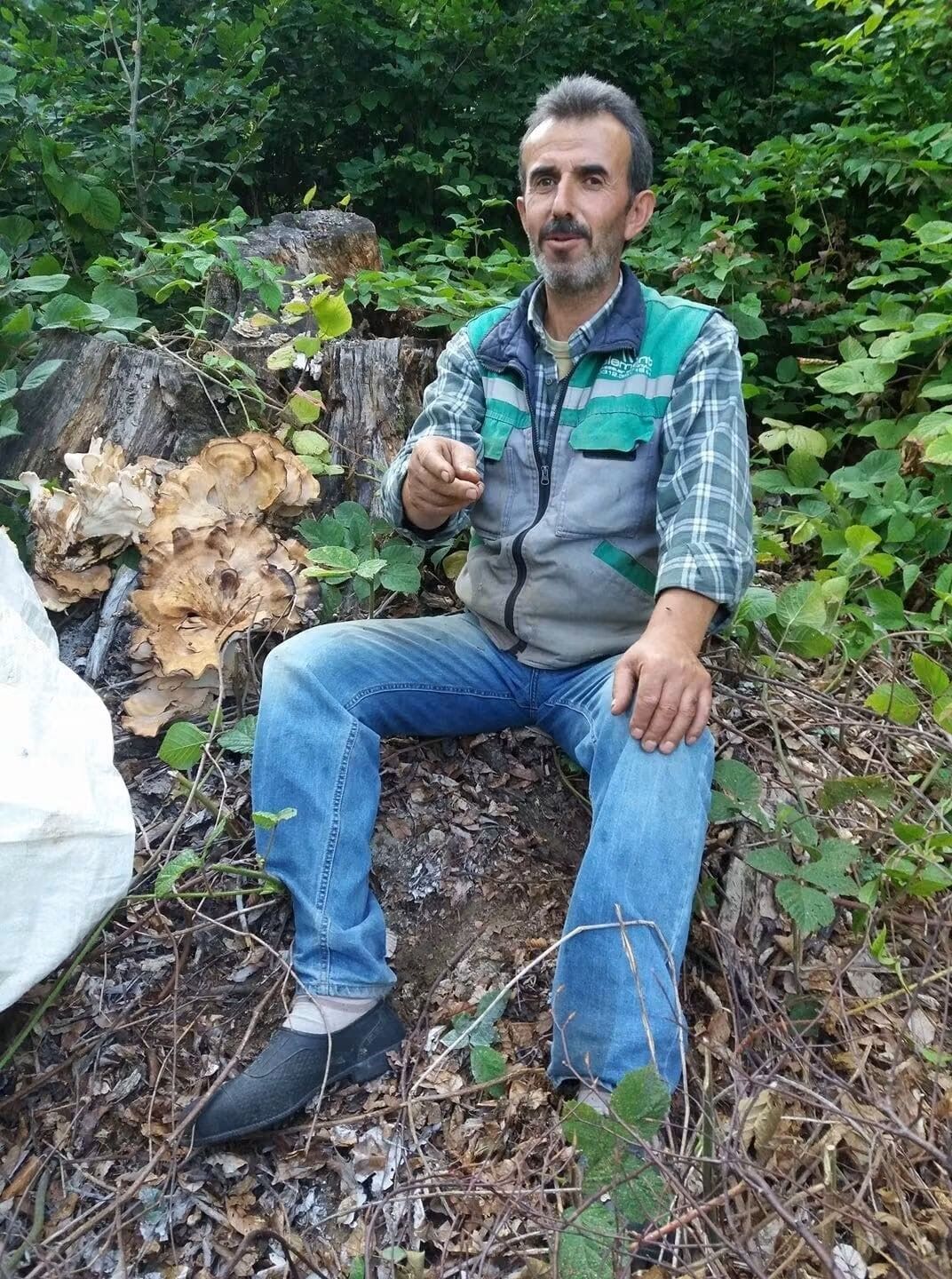 Sinop'ta traktör devrildi, orman işçisi hayatını kaybetti