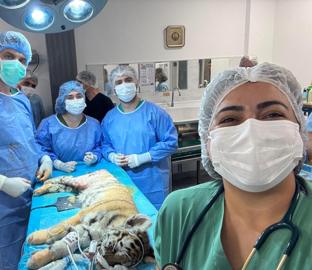 Minik Kaplan Sağlığına Kavuştu