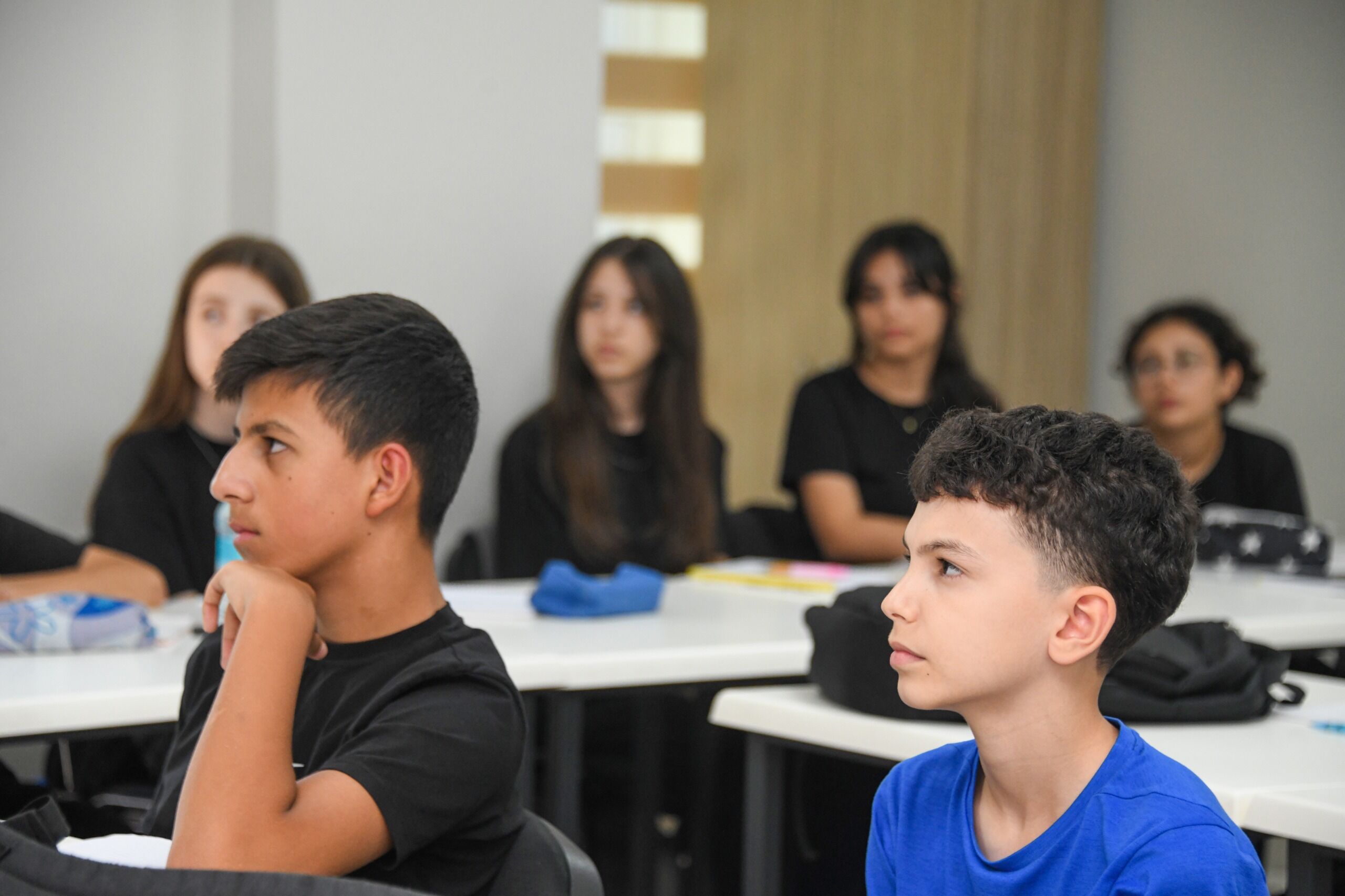 Yetenek Evleri (5)