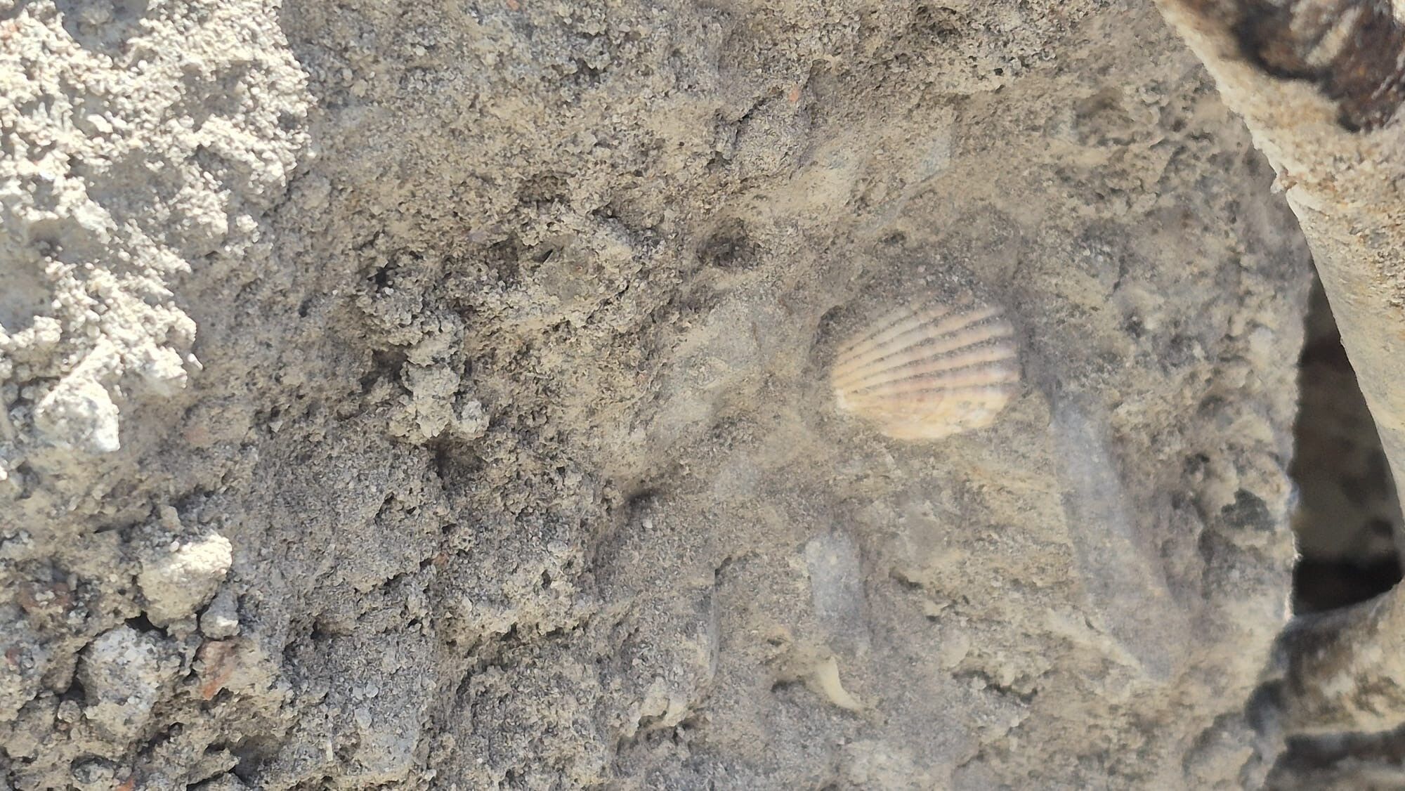 A W806065 03