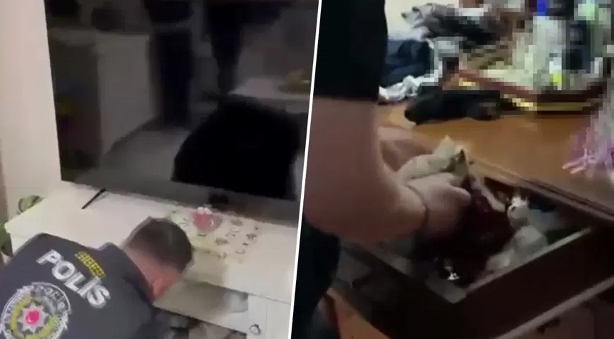 Veri analistinin canlı bahis vurgununda WhatsApp mesajları ortaya çıktı: “Fena para yapacağız”