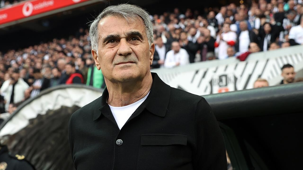 Şenol Güneş 2