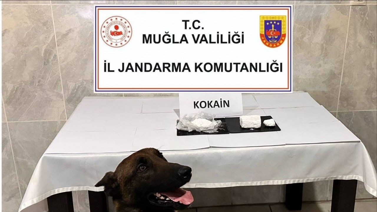 Yatağan’da yolcu otobüsünde 290 gram kokain yakalandı