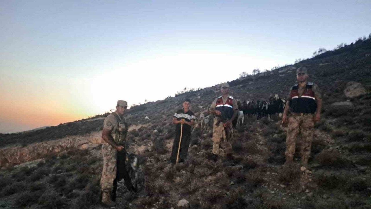 Kilis’te kaybolan 26 küçükbaş hayvan bulundu