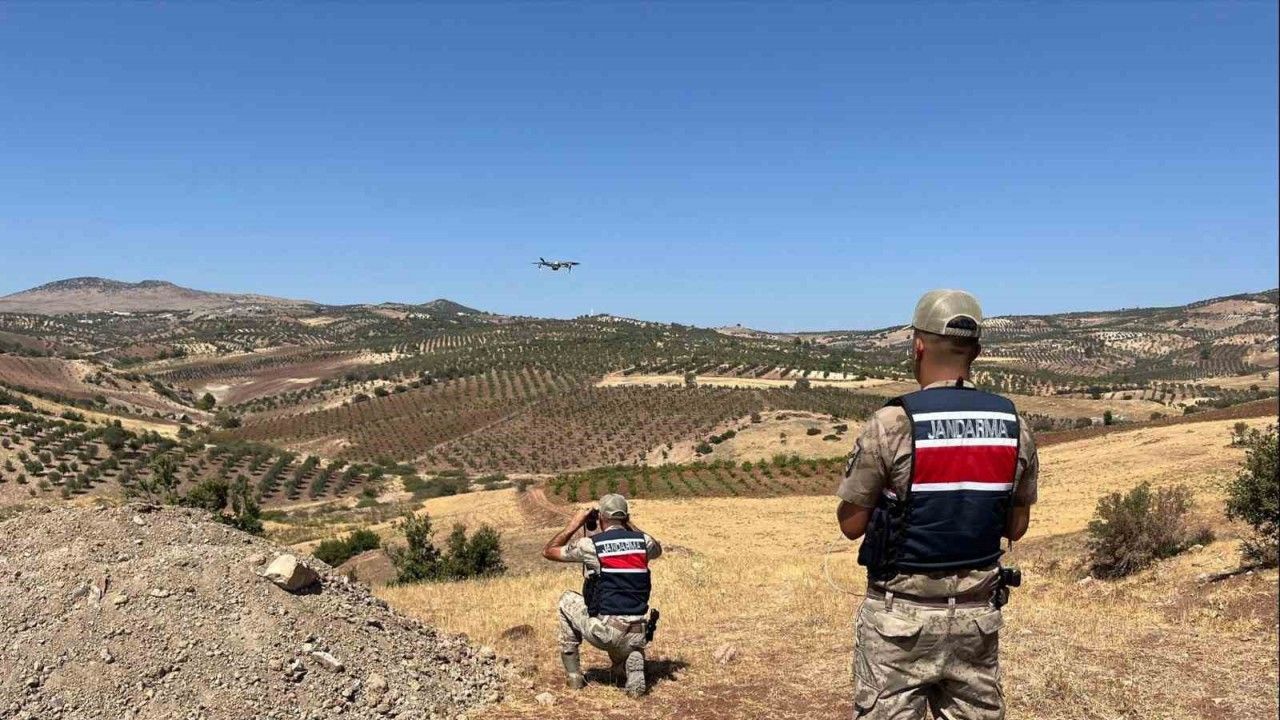 Kilis’te kaybolan küçükbaş hayvanlar bulundu