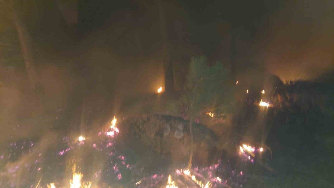 Yatağan’da orman yangını söndürüldü