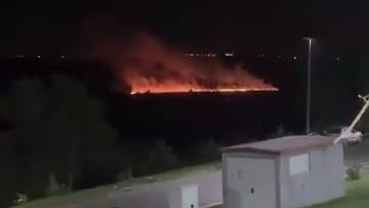 Dünya mirası listesindeki Hevsel Bahçeleri’nde korkutan yangın