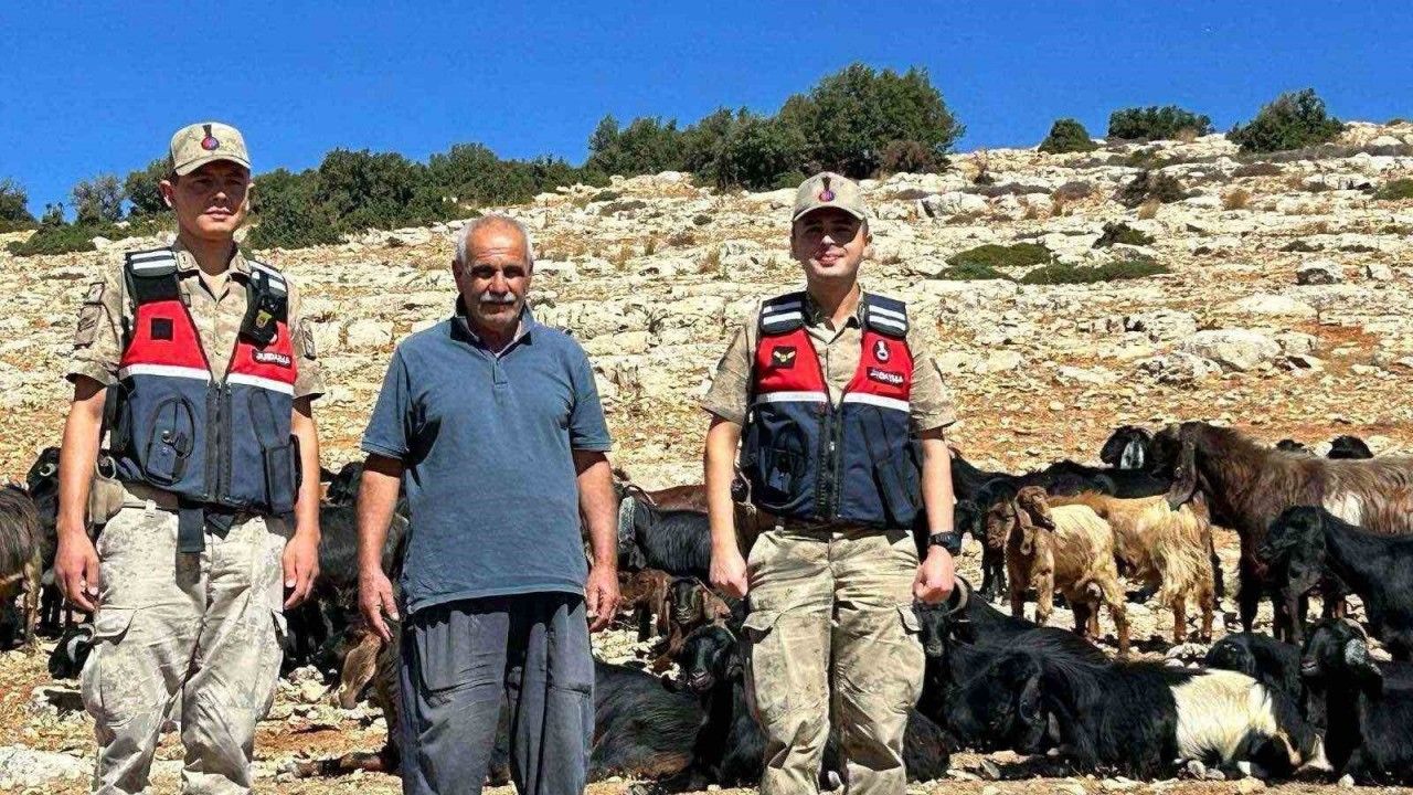 Kilis’te kaybolan 100 küçükbaş hayvan bulundu