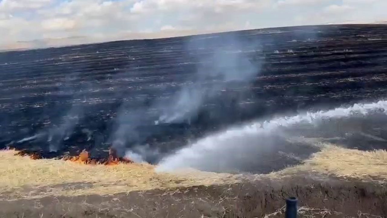 Diyarbakır’da anız yangını