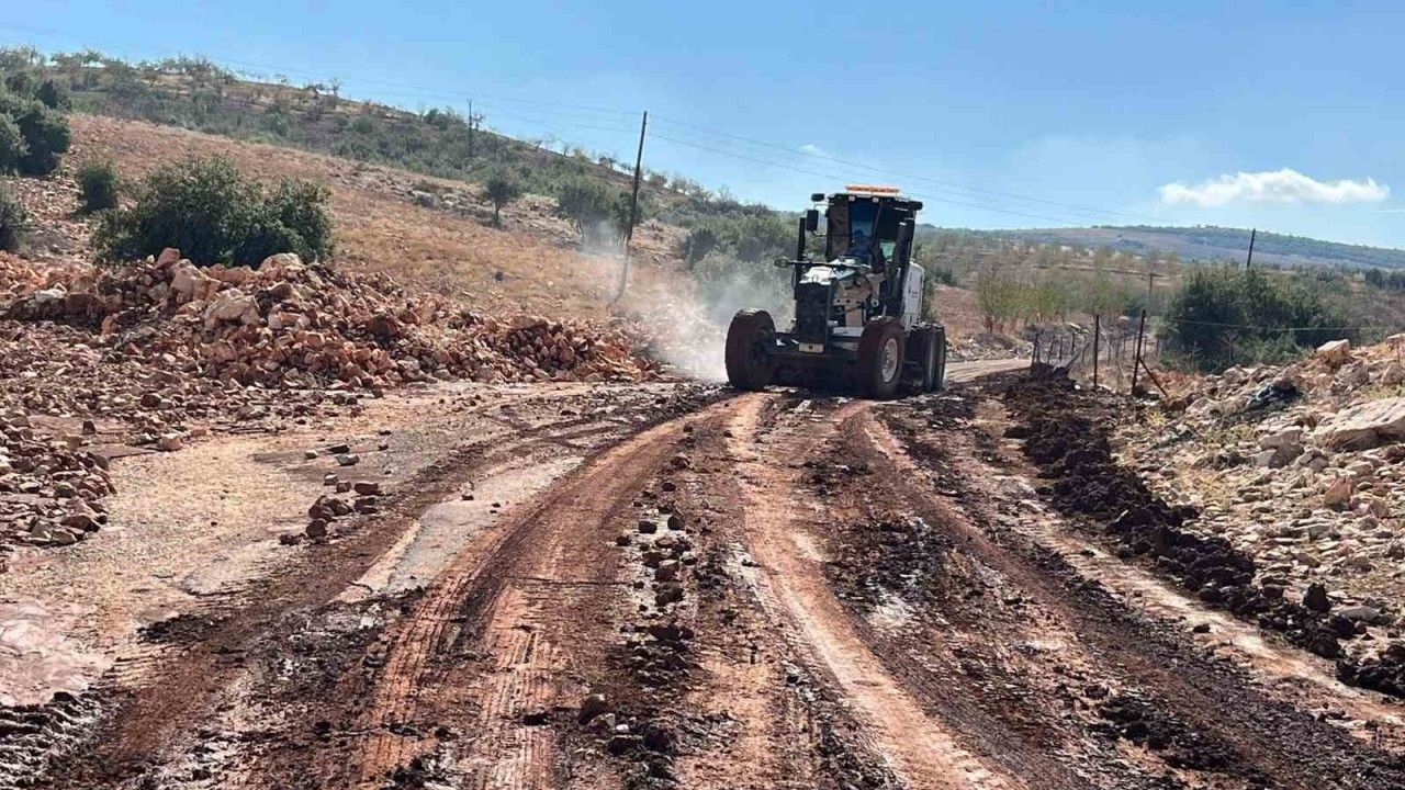 Etkili olan yağmur tarlaları sular altında bıraktı