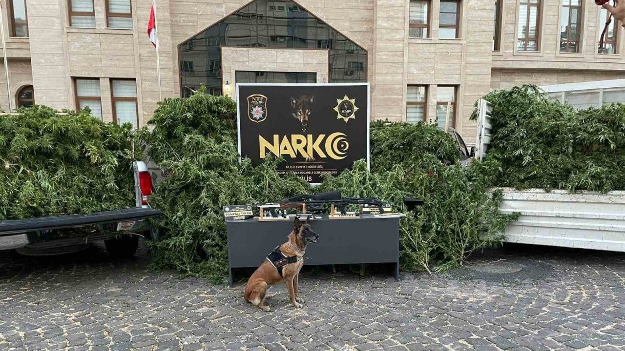 Kilis’te uyuşturucu operasyonu: 1 tutuklama