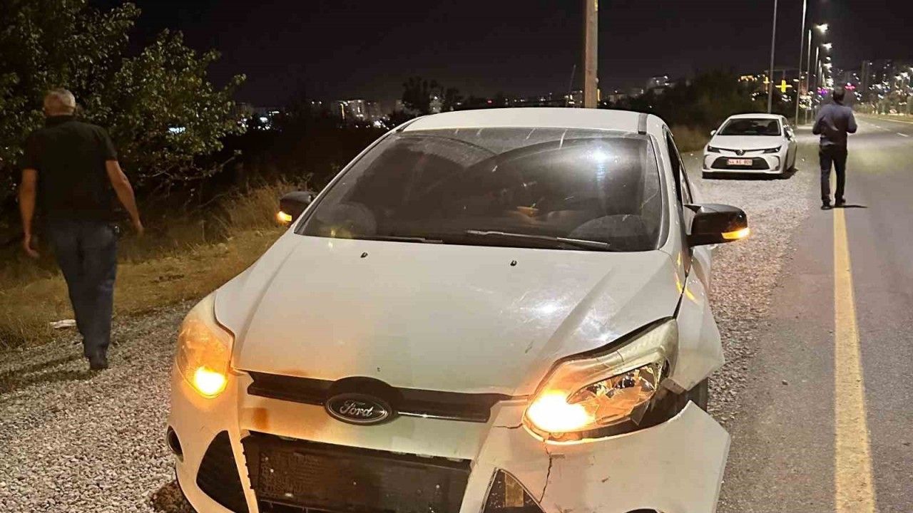 Malatya’da otomobilin çarptığı domuz telef oldu