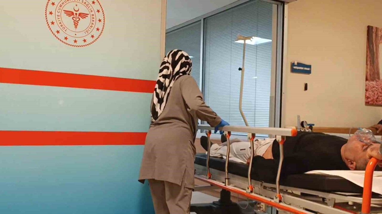 Bursa'da mantar yedi hastanelik oldu
