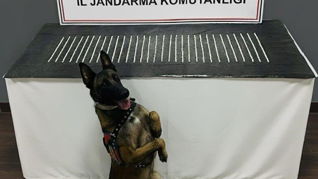 Şanlıurfa’da uyuşturucu operasyonu: 3 gözaltı