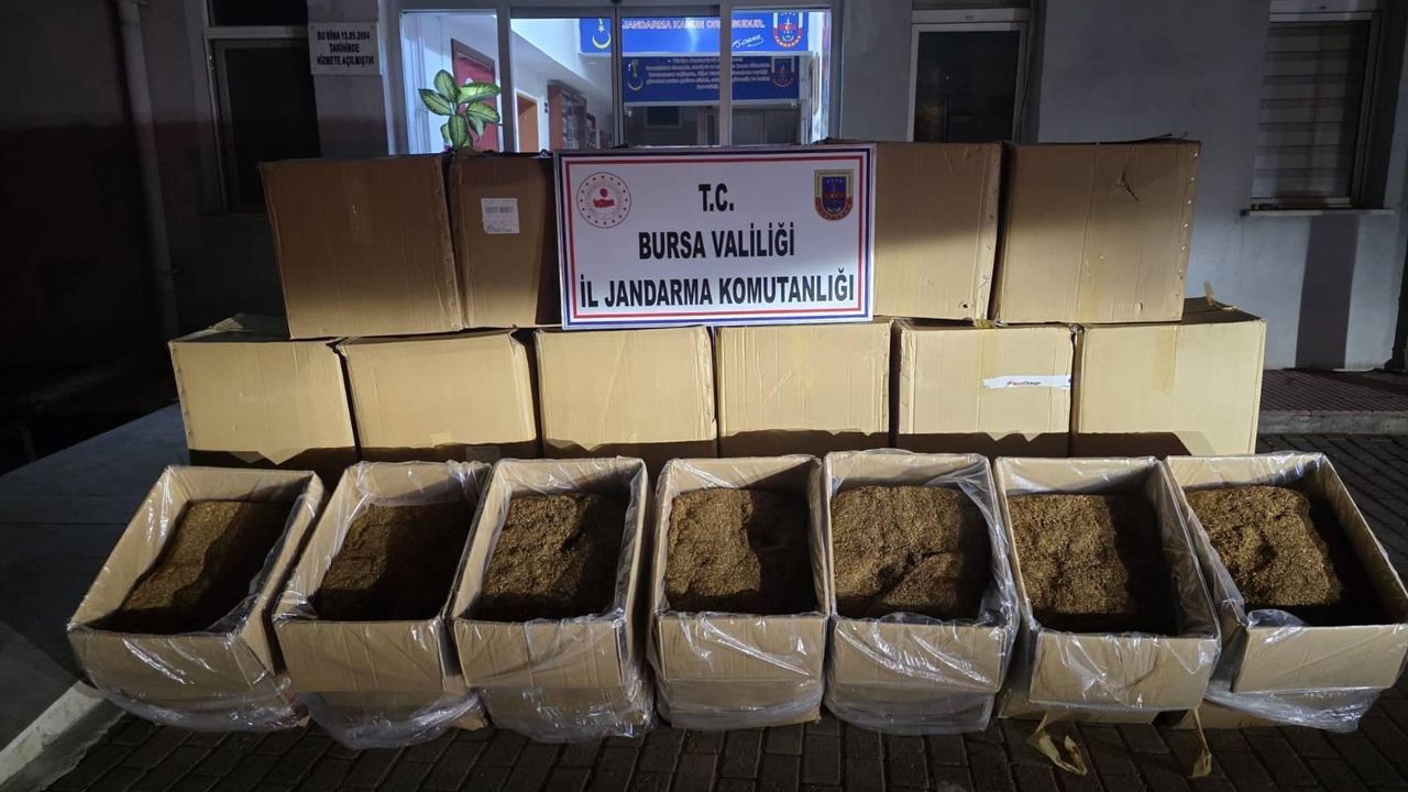 Osmangazi'de Jandarma ekiplerinden tütün operasyonu!