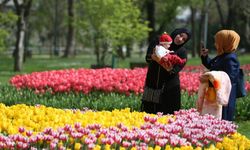 Bursa park ve bahçeleri baharla renklenecek