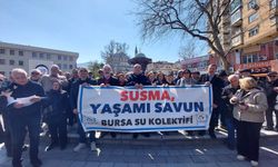 Bursa Su Kolektifi: Temiz akan dere bulmak neredeyse imkansız!