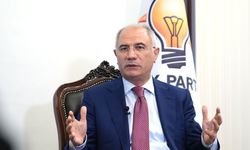 Efkan Ala’dan ara seçim değerlendirmesi
