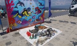 Gemlik Körfezi’nde dalgıçlardan dip temizliği