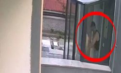 Ankara'da sahiplendiği 26'i köpeği öldürdü!