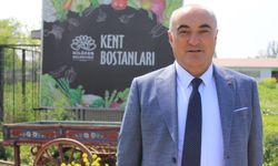 Nilüfer Belediyesi'nin de öncülerinden olduğu yerel tohum akımı büyüyor