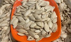 Kabak çekirdeğine "Salmonella" nasıl bulaşıyor?