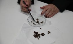 BTÜ’nün arı ekmeği tabanlı keşfine uluslararası tescil