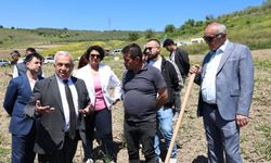 Bursa'da 800 zeytin fidanı toprakla buluştu