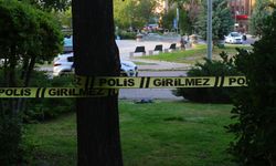 TBMM önünde havaya ateş açan şahıs gözaltına alındı