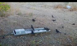 Suluklar yaban hayatının can damarı oldu