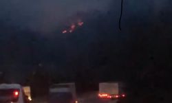 Adana’da iki noktada çıkan orman yangınları kontrol altına alındı