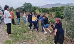 Ağaç ve emniyet kemeri hayat kurtardı: Takla atan otomobilde burnu bile kanamadı