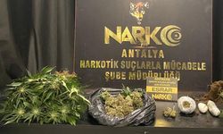 Antalya’da bir haftada 17 zehir taciri tutuklandı
